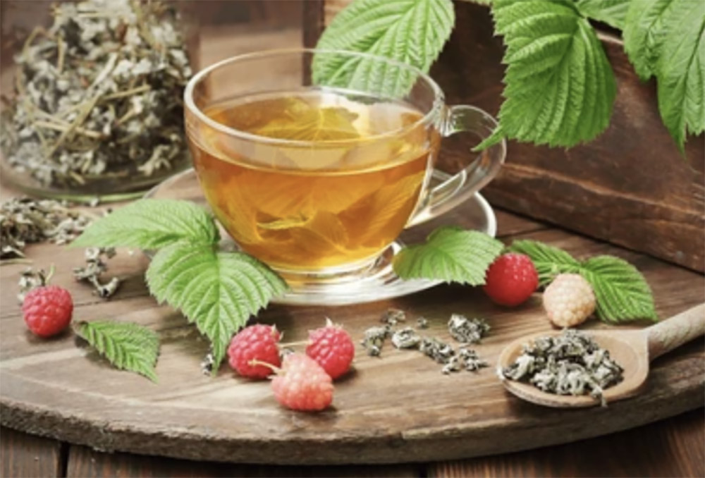 Red Raspberry Leaf Tea